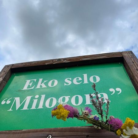 Etno Selo - Guest House Etno Village - Trsa Плужине Екстериор снимка