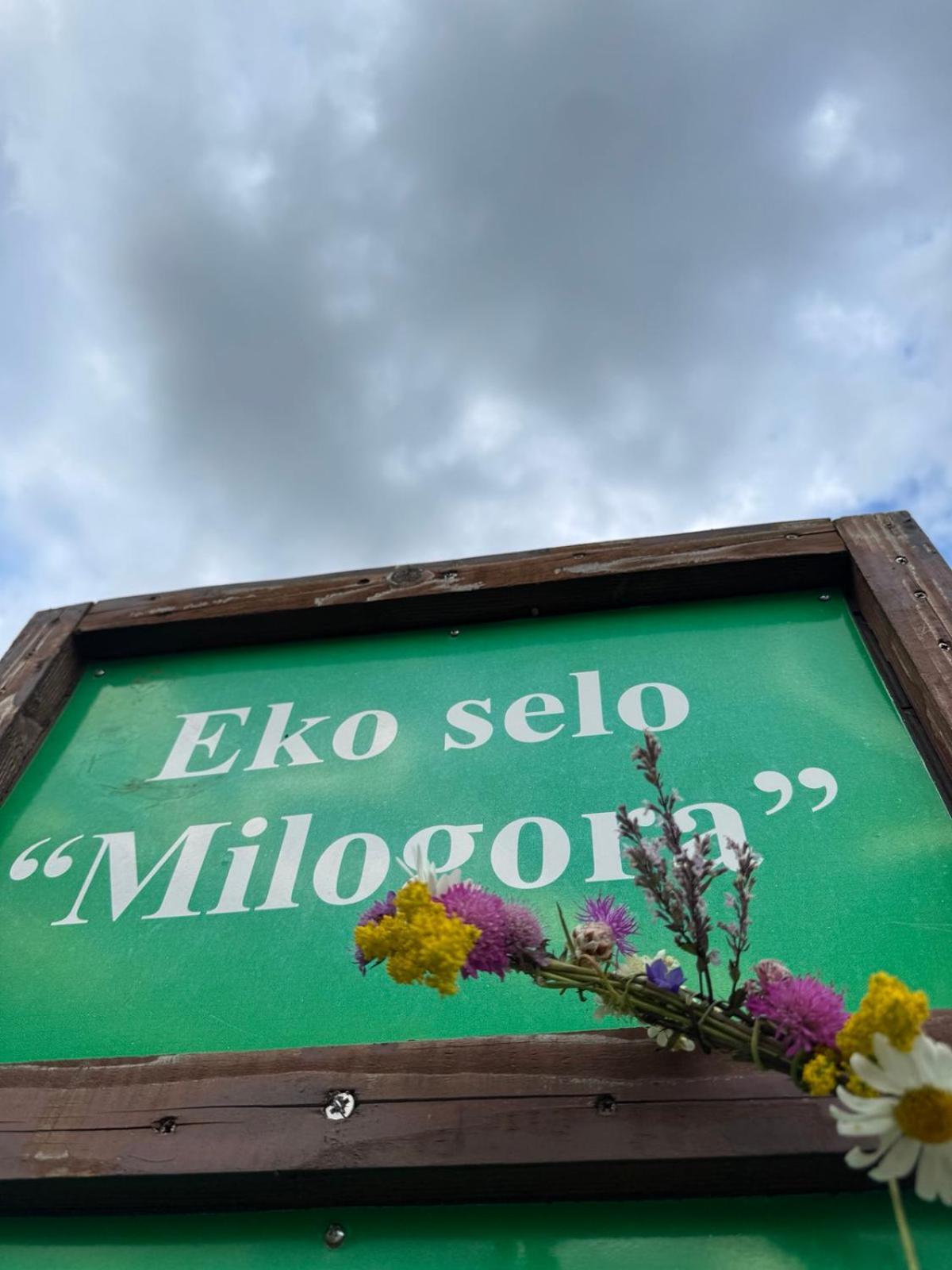 Etno Selo - Guest House Etno Village - Trsa Плужине Екстериор снимка
